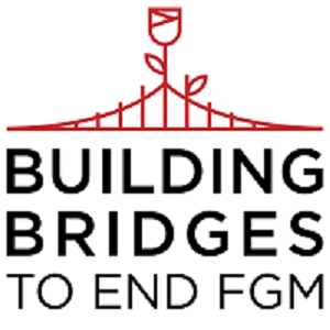 Home logo building bridges (1)